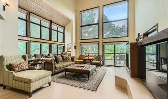 225 Daisy Ln A, Avon, CO 81620