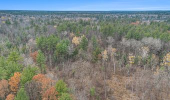 VL Wildwood Road, Alger, MI 48610