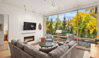 100 EVANS Road 102, Basalt, CO 81621