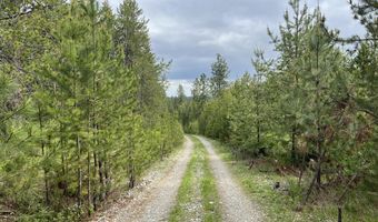 12 Acres Elizabeth Ln, Athol, ID 83801