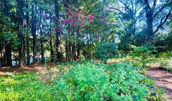 302 Chestnut St, Abbeville, SC 29620