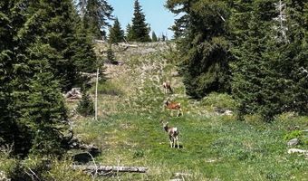 115 S Olympic Dr, Brian Head, UT 84719