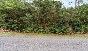 4 TH Ave, Keaau, HI 96749