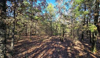 0 TBD Raw Land, Bates, AR 72958