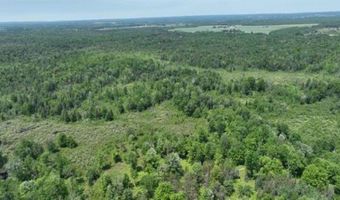 6002 Wildwood, Alger, MI 48610