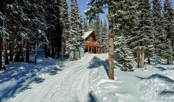 229 Lee Ln, Breckenridge, CO 80424