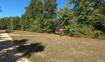 951 E County Road 206, Alton, MO 65606