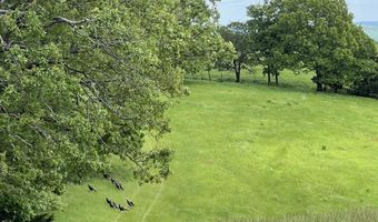 DOWNES ROAD, Bergman, AR 72615
