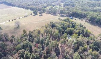 County Road 113, Alton, MO 65606