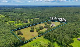 652 Tommy Eiland Rd, Baker, FL 32531