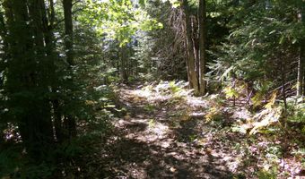 V/L 30AC Lake Winyah Road, Alpena, MI 49707