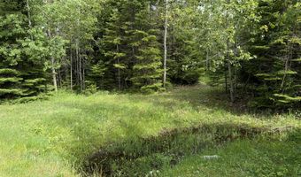 Parcel 4 Wreck Road, Alpena, MI 49707