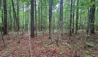 2780 Jackson Liberty Rd, Bogue Chitto, MS 39629