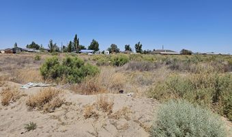 1211 Jungle Dr, Fallon, NV 89406