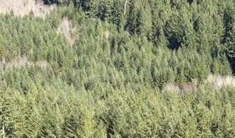 Logsden Rd, Blodgett, OR 97326