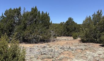 82 CR 8065, Concho, AZ 85924