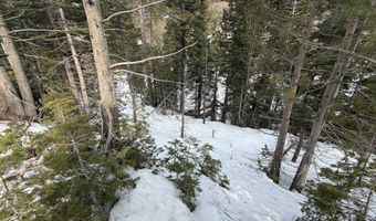 1416 Mineral Spring Trl, Alpine Meadows, CA 96146