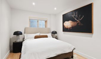 120 Turtle Cv, Aspen, CO 81611