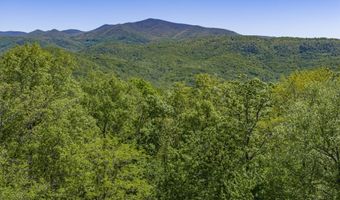 151 Stoneybrook Rd, Amherst, VA 24521