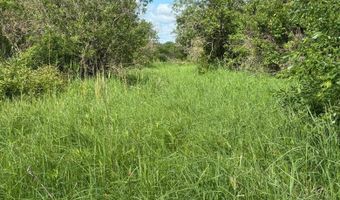 County Road 7, Bagley, MN 56621
