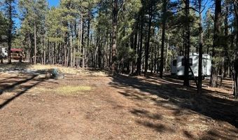 CR N2121, Alpine, AZ 85920