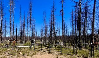 White Birch Lane lot 4, Bly, OR 97622