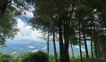 Lot 64 Cloudline Drive 64, Almond, NC 28702