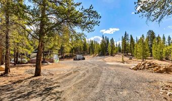 265 Placer Dr Lot 10, Alma, CO 80420