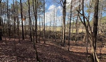 Beck Springs, Ashland, MS 38603