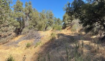 41902 Woodward Way, Ahwahnee, CA 93601