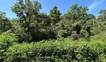 18781 Private Drive 1145, Ava, MO 65608