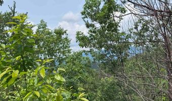 88 Acres Bolden Br, Andrews, NC 28901