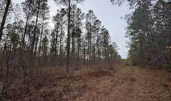 136 Highway 28 S, Abbeville, SC 29620