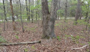 Long Branch Lane, Bee Branch, AR 72013