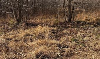 BLACK SWAMP ROAD, Felton, DE 19943