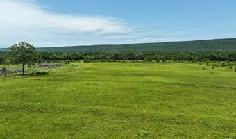 001 N 4220 Rd, Antlers, OK 74536