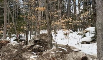 Map 6 Lot 103 Route 16, Albany, NH 03818
