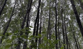 xxx Benson Rd, Alborn, MN 55702