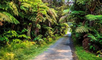 11-3972 Lanihuli St 3972, Hilo, HI 96720