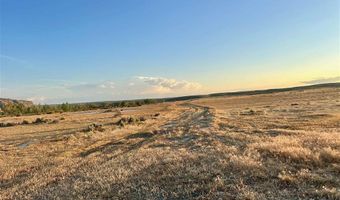 1242 Hwy 20 S, Basin, WY 82410