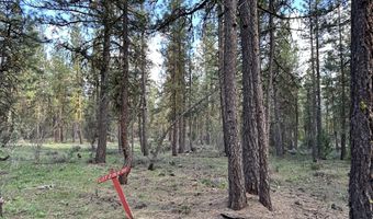 Red Deer Lane lot 2, Bonanza, OR 97623