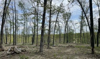 State Hwy N Tract G, Ava, MO 65608