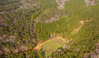001 Old Stage Rd, Atmore, AL 36502