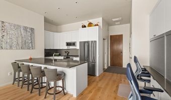 101 Willits Way 205, Basalt, CO 81621
