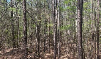 274 CR 3301, Booneville, MS 38829