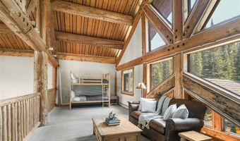 496 Hamilton Ln, Breckenridge, CO 80424