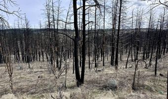 Wren Dr lot 11, Bonanza, OR 97623
