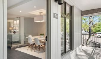 800 E Hopkins Ave A-3, Aspen, CO 81611