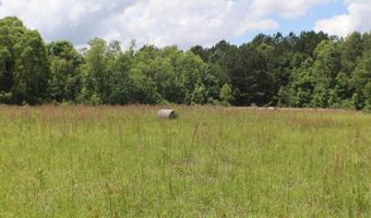 Vine Drive, Brandon, MS 39047