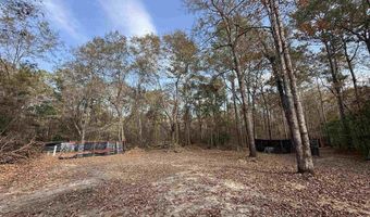 7262 N Brewington Rd, Alcolu, SC 29001